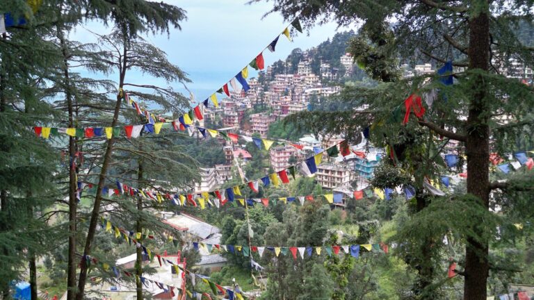 Read more about the article Explore the Hidden Beauty of Keylong: A Scenic Escape from Manali