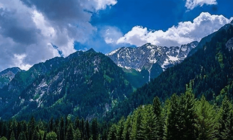 Read more about the article Which Season Is Best for a Kashmir Tour? A Complete Seasonal Travel Guide