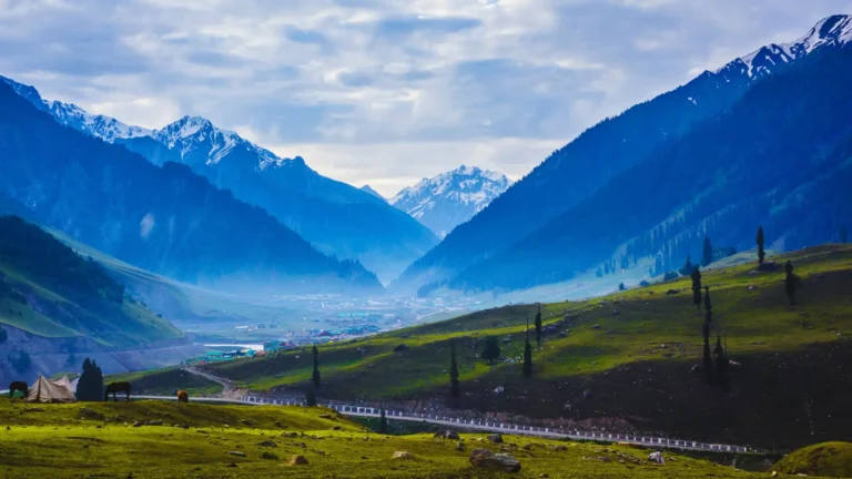 Read more about the article Why a Delhi to Kashmir Tour Package is the Best Way to Explore Paradise on Earth
