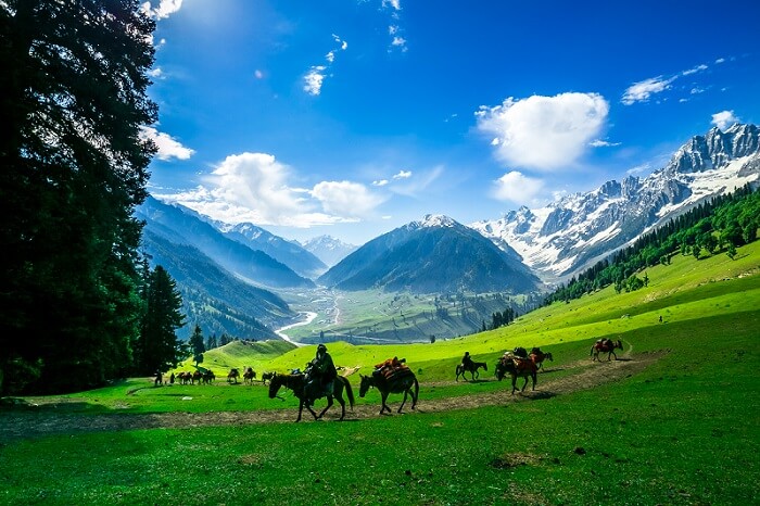 Read more about the article A Complete Guide to Planning Your Perfect Kashmir Tour Package