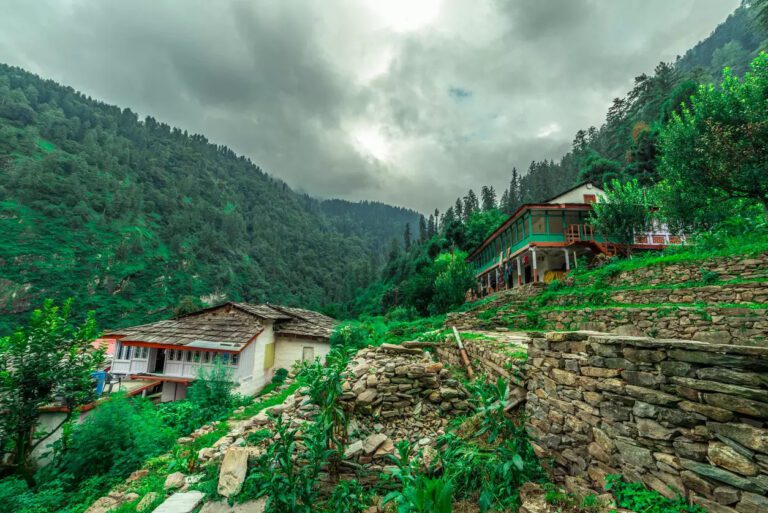 Read more about the article Why Choose a Manali–Jibhi Package for Your Next Himachal Holiday